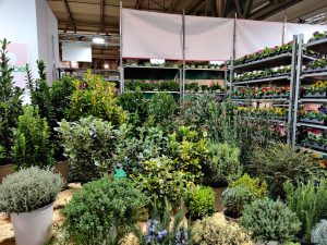 Interpretariato in ambito vivaistico